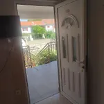 Cvita Biograd Na Moru