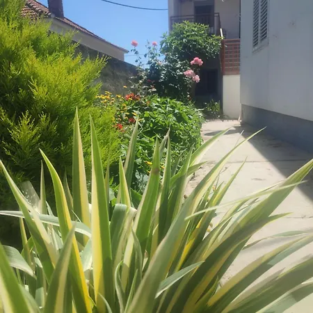 Cvita Apartman *
