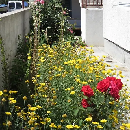 Apartment Cvita Biograd Na Moru