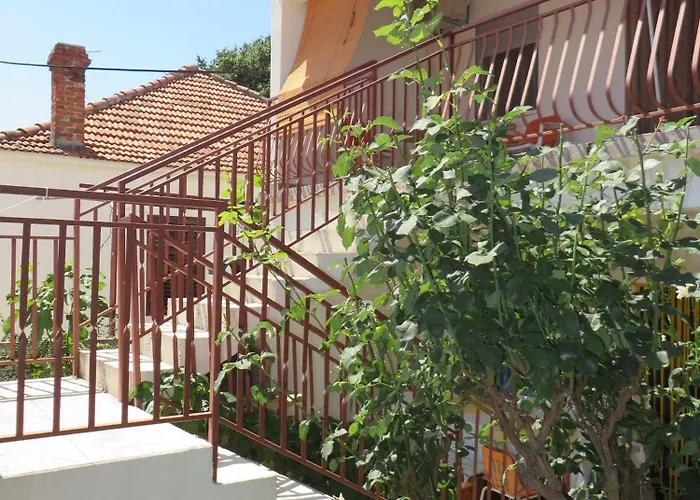 Cvita Biograd na Moru