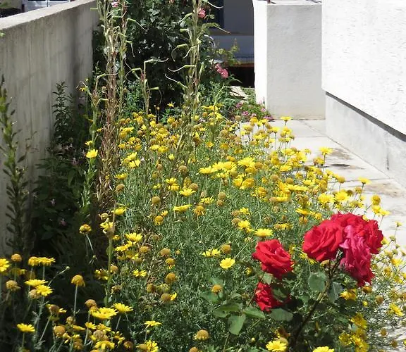 Apartamento Cvita Biograd Na Moru